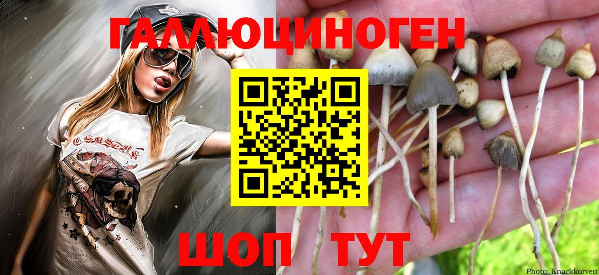 Лабытнанги  Галлюциногенные грибы прущие грибы  где можно купить наркотик  Вход с VPN 
